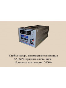 SASSIN SVC 5000 VA