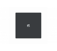 Busch-Jaeger – LFST/A.1.63.11-81 Cover plate with legend with Symbol "scene" anthracite - 63x63