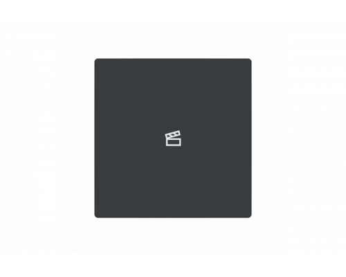 Busch-Jaeger – LFST/A.1.63.11-81 Cover plate with legend with Symbol "scene" anthracite - 63x63