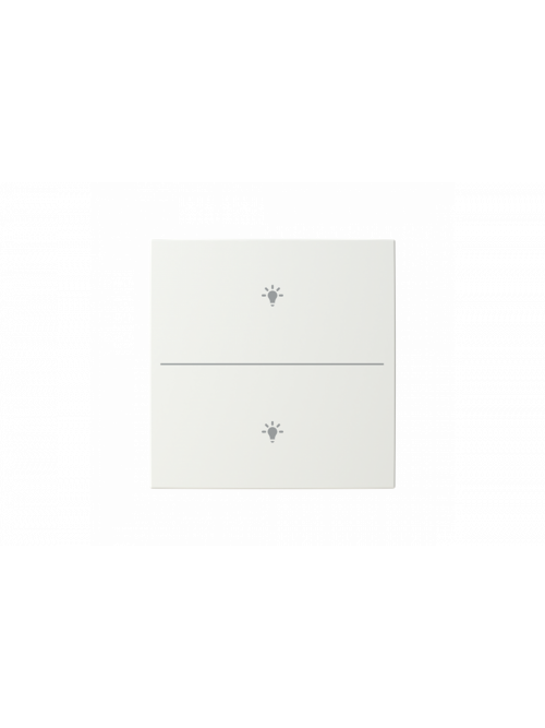 Busch-Jaeger – LFBT/A.2.55.11-914 Cover plate with legend with Symbol "light" alpine white - Busch-balance SI