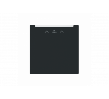 Cover plate with legend Card, Symbol "arrows" Hotel card black matt - Busch-art linear
