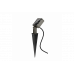 Flash