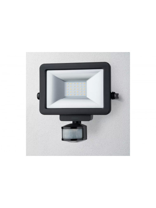 theLeda B20L BK