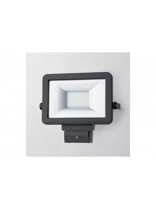 theLeda B20L BK