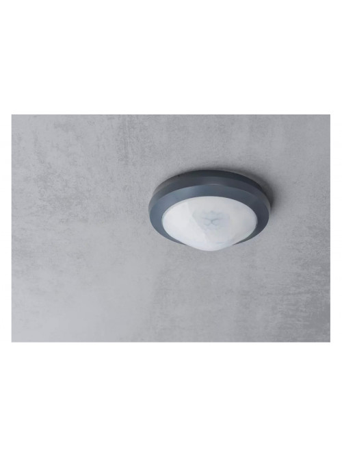 theRonda P360-101 M UP WH