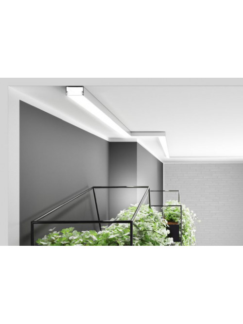 Profil LED aparent LOWI C10, aluminiu anodizat, lungime 2m