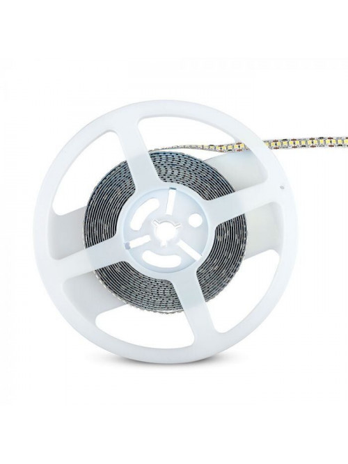 LED лента PROLUM™ 12V; 2835\240; IP20; Series "SG", Белый (5500-6000К)