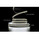 LED лента PROLUM™ 12V; 2835\240; IP20; Series "SG", Белый (5500-6000К)