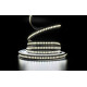 LED лента PROLUM™ 12V; 2835\240; IP20; Series "SG", Белый (5500-6000К)