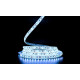 Светодиодная LED лента PROLUM™ 12V; 2835\120; IP65; Series "SG", Холодный-белый (9000-10000К)