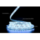 Светодиодная LED лента PROLUM™ 12V; 2835\120; IP65; Series "SG", Холодный-белый (9000-10000К)