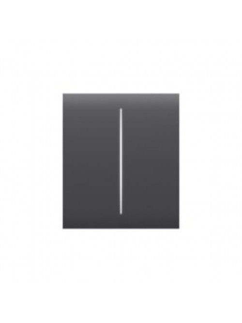 Ajax CenterButton (2-gang) [55] graphite