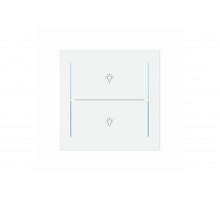 Busch-Jaeger – LFBT/A.2.70.11-44M Cover plate with legend with Symbol "light" studio white matt - Busch-art linear