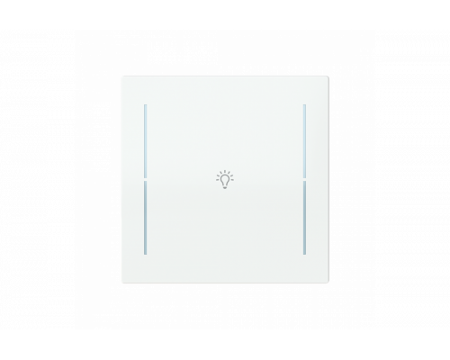 Busch-Jaeger – LFB/A.1.70.11-44G Cover plate with legend with Symbol "light" studio white - Busch-art linear