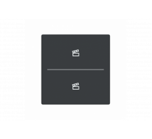 Busch-Jaeger – LFST/A.2.63.11-81 Cover plate with legend with Symbol "scene" anthracite - 63x63