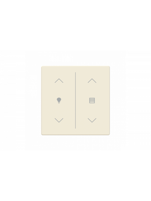 Busch-Jaeger – LFDW/A.2.63.11-82 Cover plate ivory white - 63x63