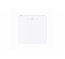 Cover plate with legend Card, Symbol "arrows" Hotel card studio white - Busch-art linear