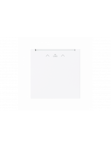Cover plate with legend Card, Symbol "arrows" Hotel card studio white - Busch-art linear