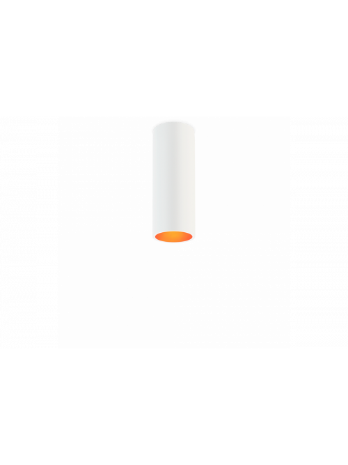 Scope 21 Surface