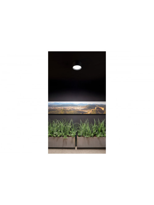 Stram Surface Mini