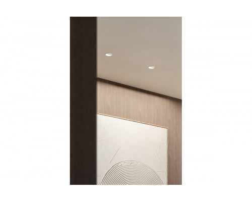 Buddy Wall Washer Trimless