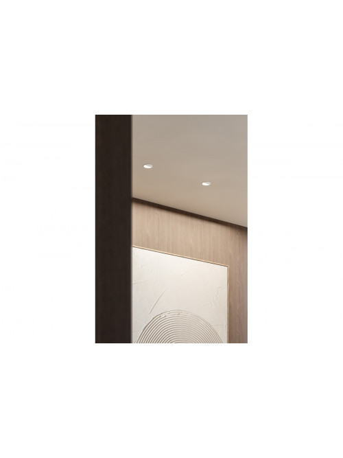 Buddy Wall Washer Trimless