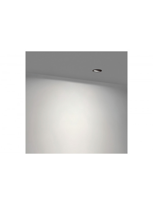 Buddy Wall Washer Trimless