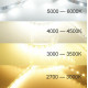 Светодиодная LED лента PROLUM™ 12V; 2835\120; IP20; Series "PRO", Тепло-Белый (2800-3200K)