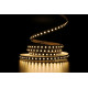 Светодиодная LED лента PROLUM™ 12V; 2835\120; IP20; Series "PRO", Тепло-Белый (2800-3200K)