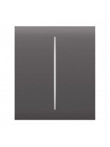 Ajax CenterButton (2-gang) [55] grey