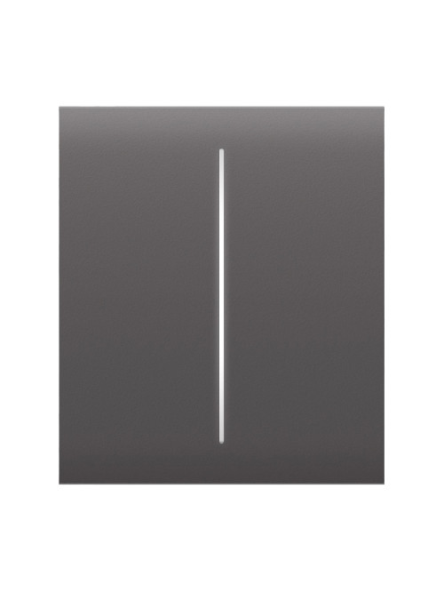 Ajax CenterButton (2-gang) [55] grey