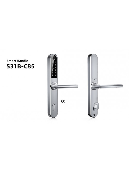 S31B-C85 Lacat inteligent
