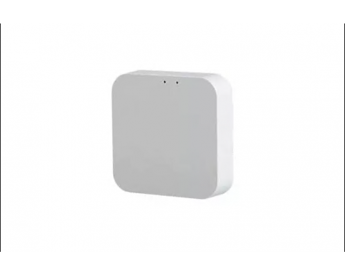 Gateway de control BLUETOOTH PROLUM™; TUYA; HomeLink;