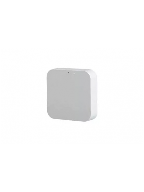 Шлюз управления PROLUM™ BLUETOOTH;  TUYA; HomeLink;
