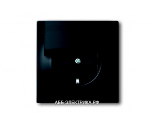 Розетка с/з с крышкой, цвет Черный бархат, ABB Impuls