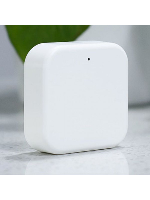 Шлюз управления PROLUM™ BLUETOOTH;  TUYA; HomeLink;
