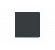 Busch-Jaeger – LFW/A.2.63.11-81 Cover plate anthracite - 63x63