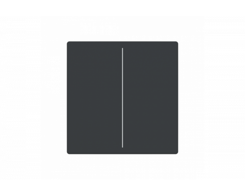 Busch-Jaeger – LFW/A.2.63.11-81 Cover plate anthracite - 63x63