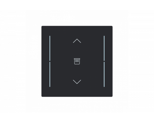 Busch-Jaeger – LFJW/A.1.70.11-45M Cover plate with legend with Symbol "venetian blind" black matt - Busch-art linear