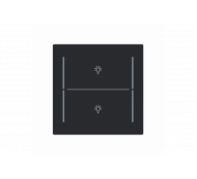 Busch-Jaeger – LFBT/A.2.70.11-45M Cover plate with legend with Symbol "light" black matt - Busch-art linear