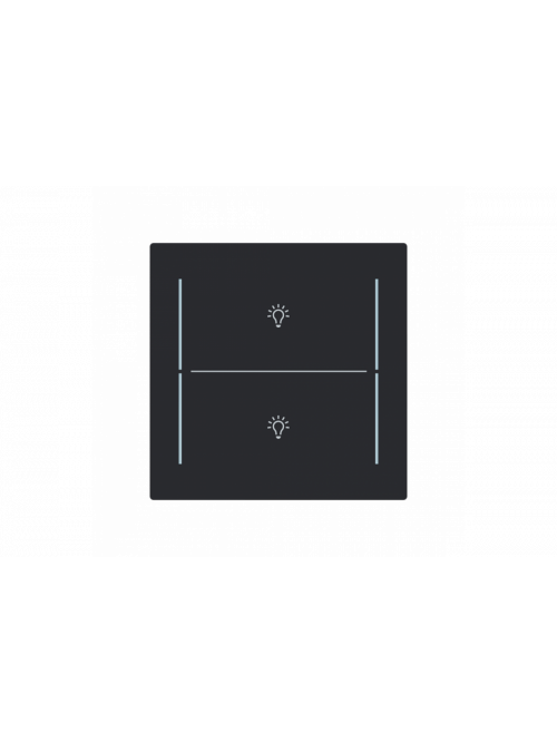 Busch-Jaeger – LFBT/A.2.70.11-45M Cover plate with legend with Symbol "light" black matt - Busch-art linear