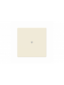 Busch-Jaeger – LFBT/A.1.63.11-82 Cover plate with legend with Symbol "light" ivory white - 63x63