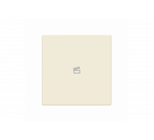 Busch-Jaeger – LFST/A.1.63.11-82 Cover plate with legend with Symbol "scene" ivory white - 63x63