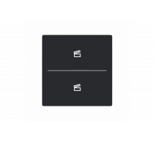 Busch-Jaeger – LFST/A.2.63.11-885 Cover plate with legend with Symbol "scene" black matt - 63x63