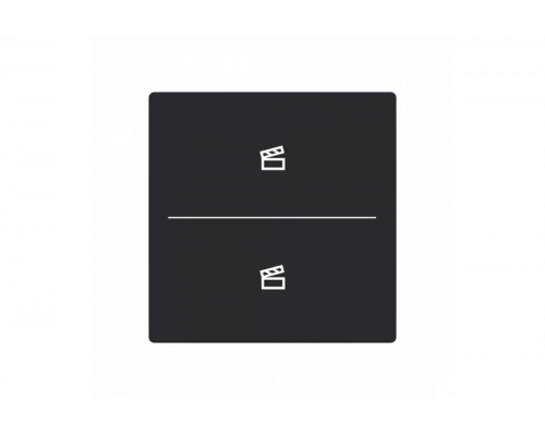 Busch-Jaeger – LFST/A.2.63.11-885 Cover plate with legend with Symbol "scene" black matt - 63x63