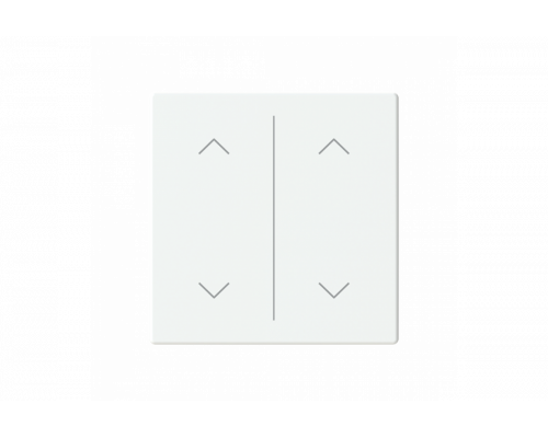 Busch-Jaeger – LFAW/A.2.63.11-884 Cover plate with legend with Symbol "arrows" studio white matt - 63x63