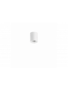 Top Mini