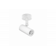 Coco Surface