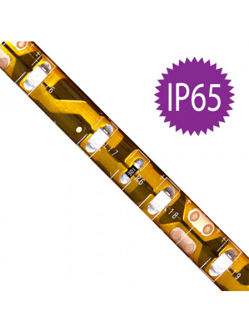 FN LS604