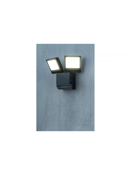 theLeda S17-100 BK